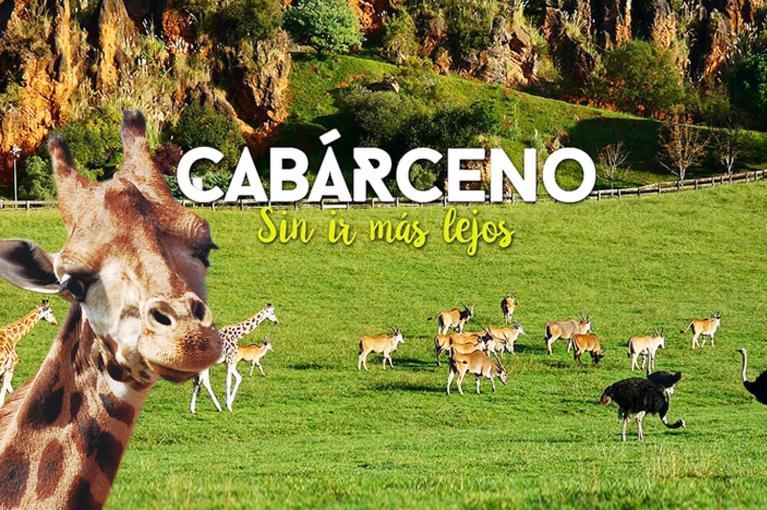 Apartamento De 120M2 Al Lado De Cabarceno Saron Ngoại thất bức ảnh